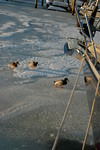 Feb 2010 Blizzards (103).JPG