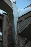 Feb 2010 Blizzards (118).JPG
