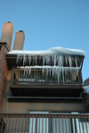 Feb 2010 Blizzards (125).JPG