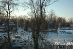 Feb 2010 Blizzards (130).JPG
